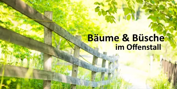 Videokurs: Bäume und Büsche im Offenstall