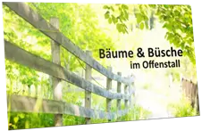 Videokurs Bäume und Büsche im Offenstall