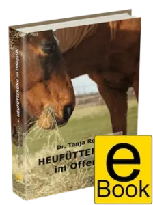 Heufütterung im Offenstall