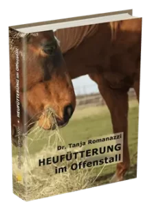 Heufütterung im Offenstall