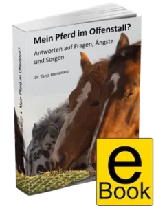 Mein Pferd im Offenstall