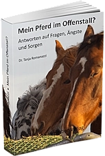 Mein Pferd im Offenstall