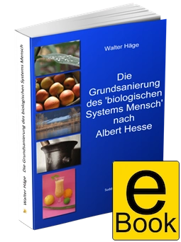 Die Grundsanierung des biologischen Systems Mensch Ebook